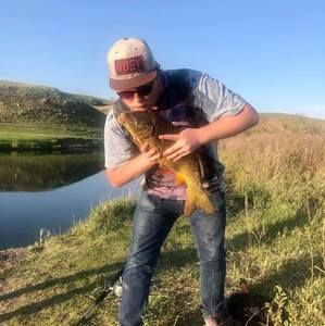 Meet your Posher, Tyson